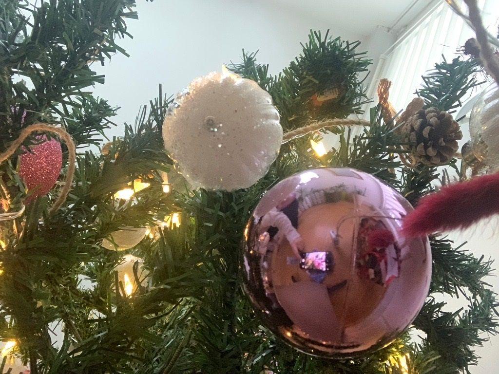 Zašto kitimo jelku i palimo badnjak pred Božić 4 Pogled odozdo na jelku