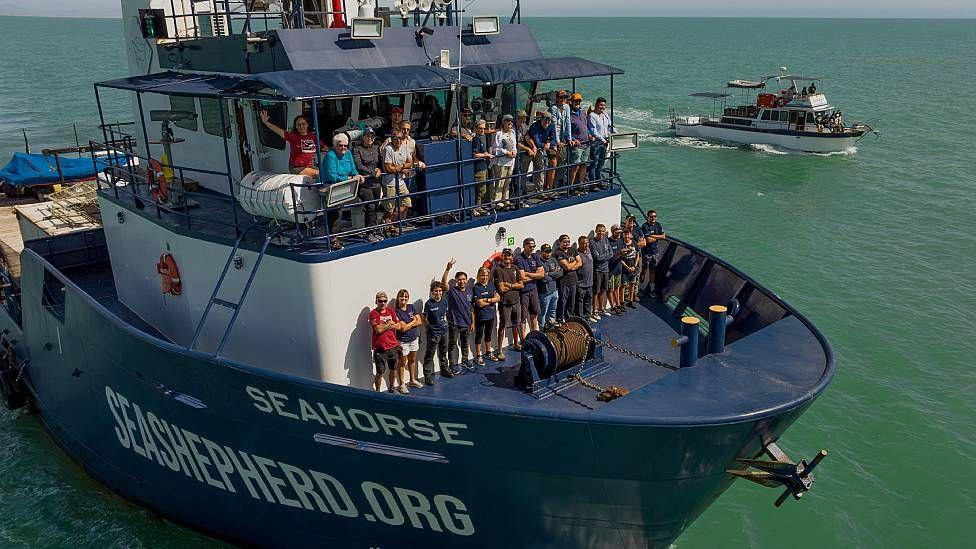 Integrantes de un crucero de observación de la vaquita marina en un barco de Sea Shepherd