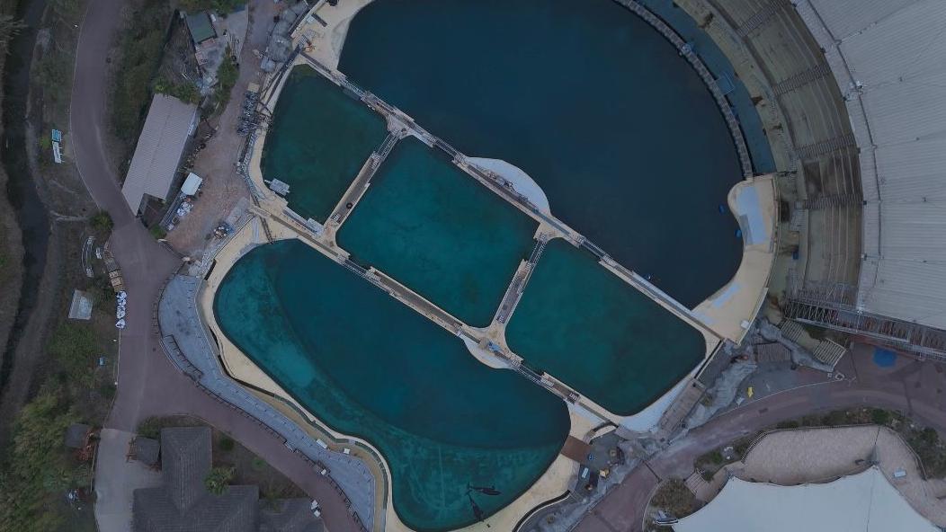 Foto aérea do Marineland mostra cinco piscinas com diferentes tons de azul e verde e uma área para o público, parecida com um anfiteatro