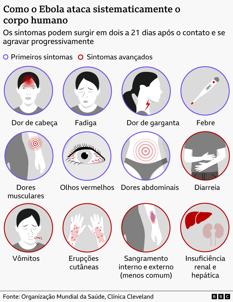Gráfico explicando os diferentes sintomas do Ebola e como ele ataca o corpo humano