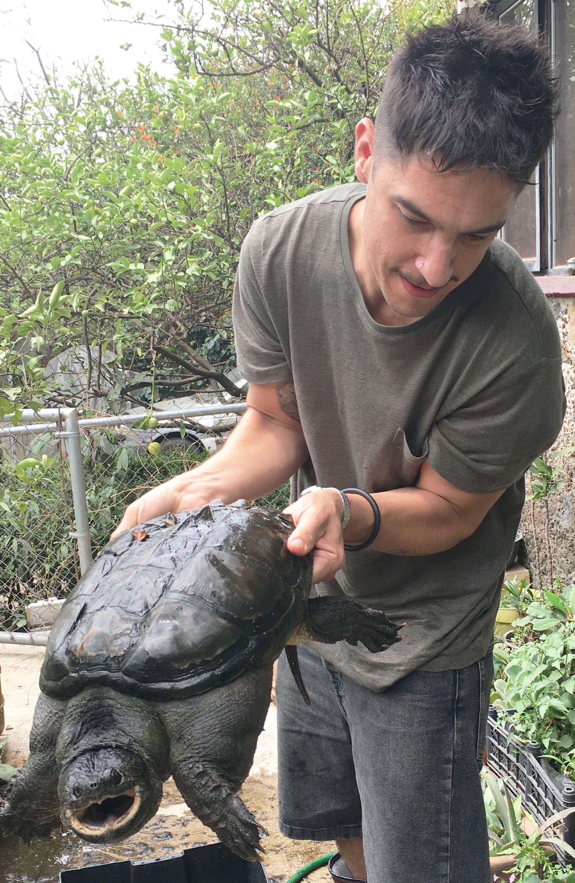 Andrés Cota Hiriart sostiene entre sus manos una tortuga