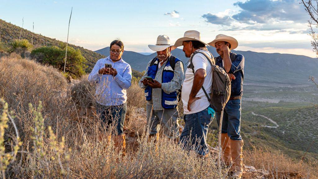 Un grupo de conservacionistas trabaja plantando agaves. 