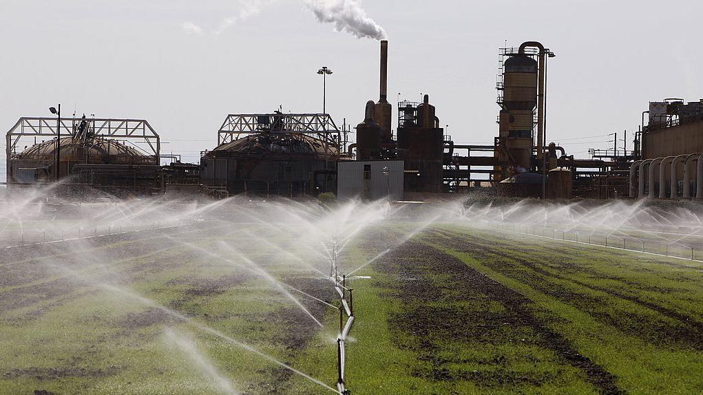 Un sistema de aspersores rocía los cultivos con agua proveniente de un canal de riego ubicado en una zona agrícola que tradicionalmente utiliza agua del río Colorado,