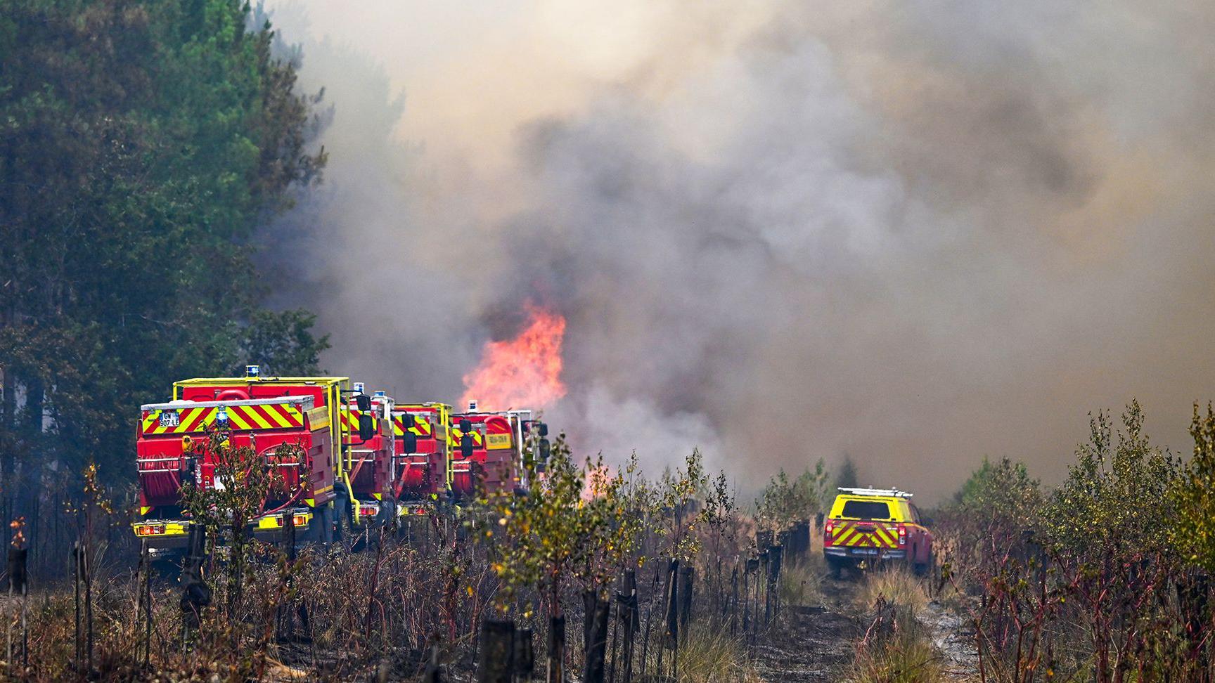 Wildfire has 'life of its own', says French minister, with blaze nine miles from Bordeaux outskirts