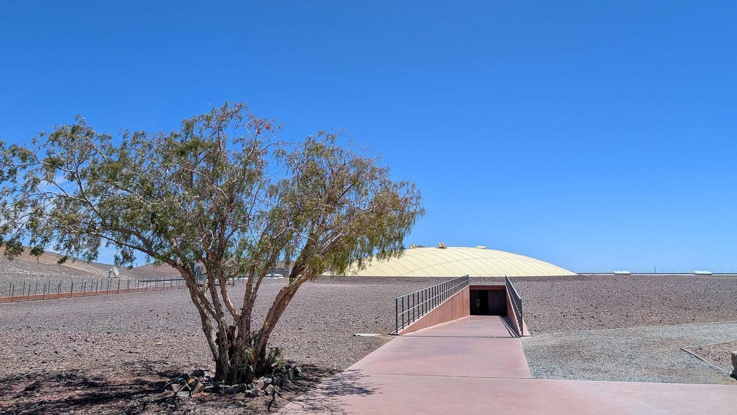 Un árbol en primer plano, con la cúpula de la residencia de científicos detrás. 