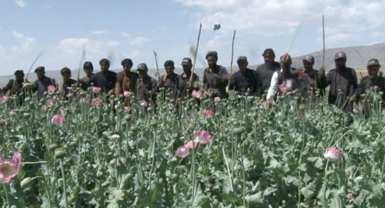 افغانستان