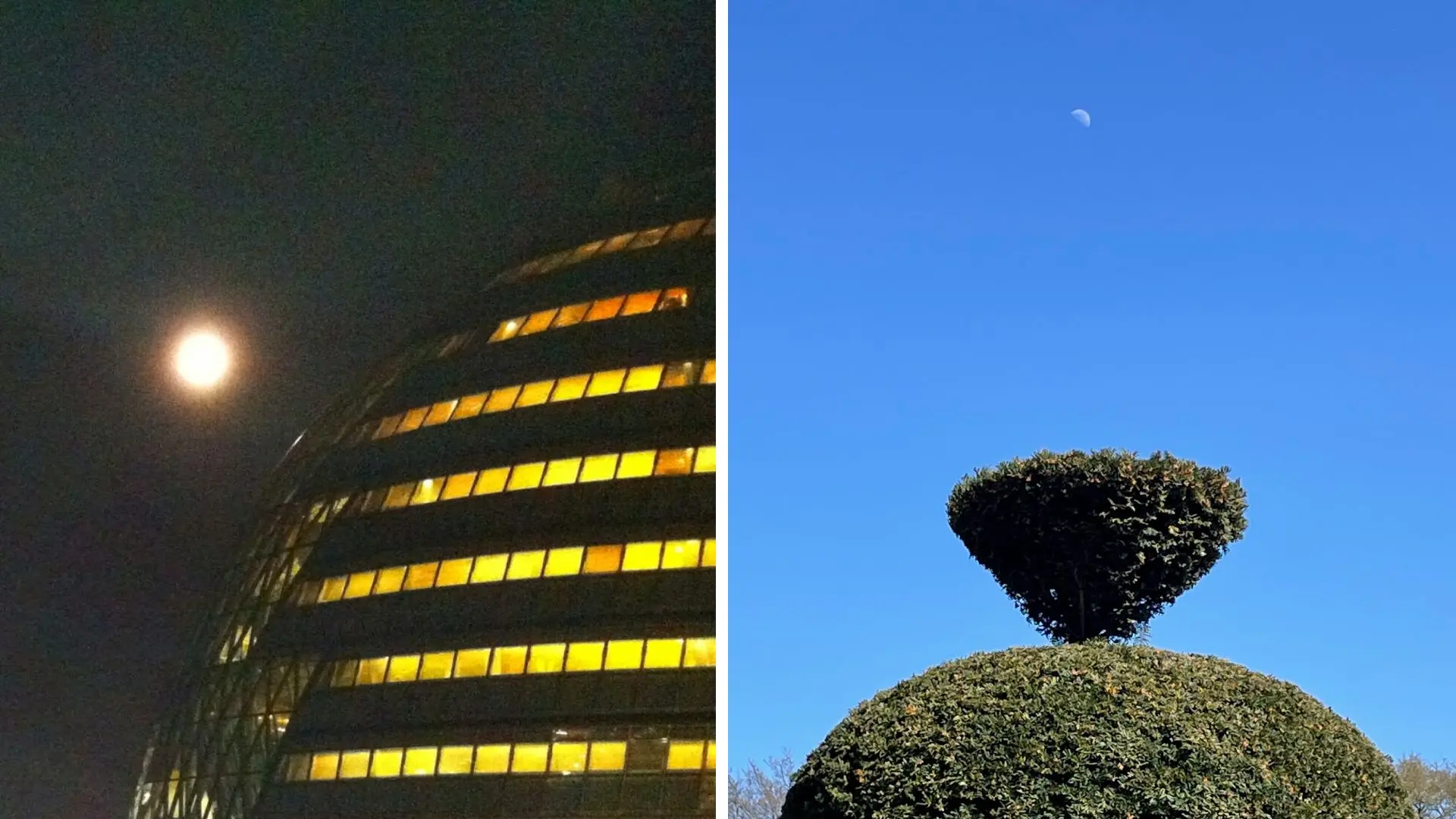 :      . :           .