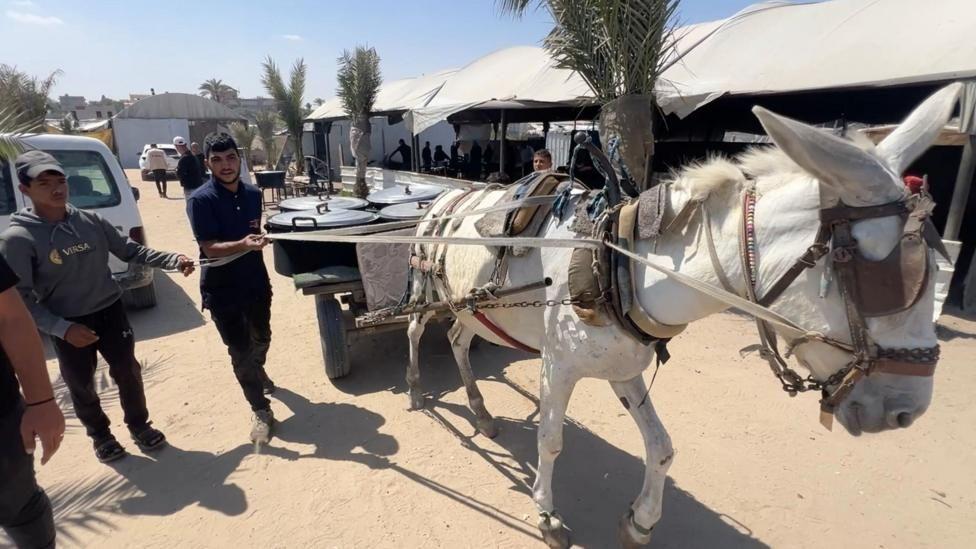 Hombres con un carro tirado por un burro distribuyendo comida