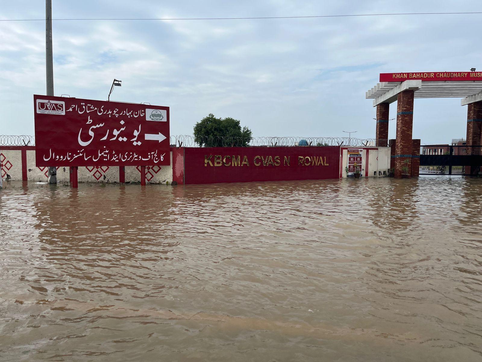 نارووال