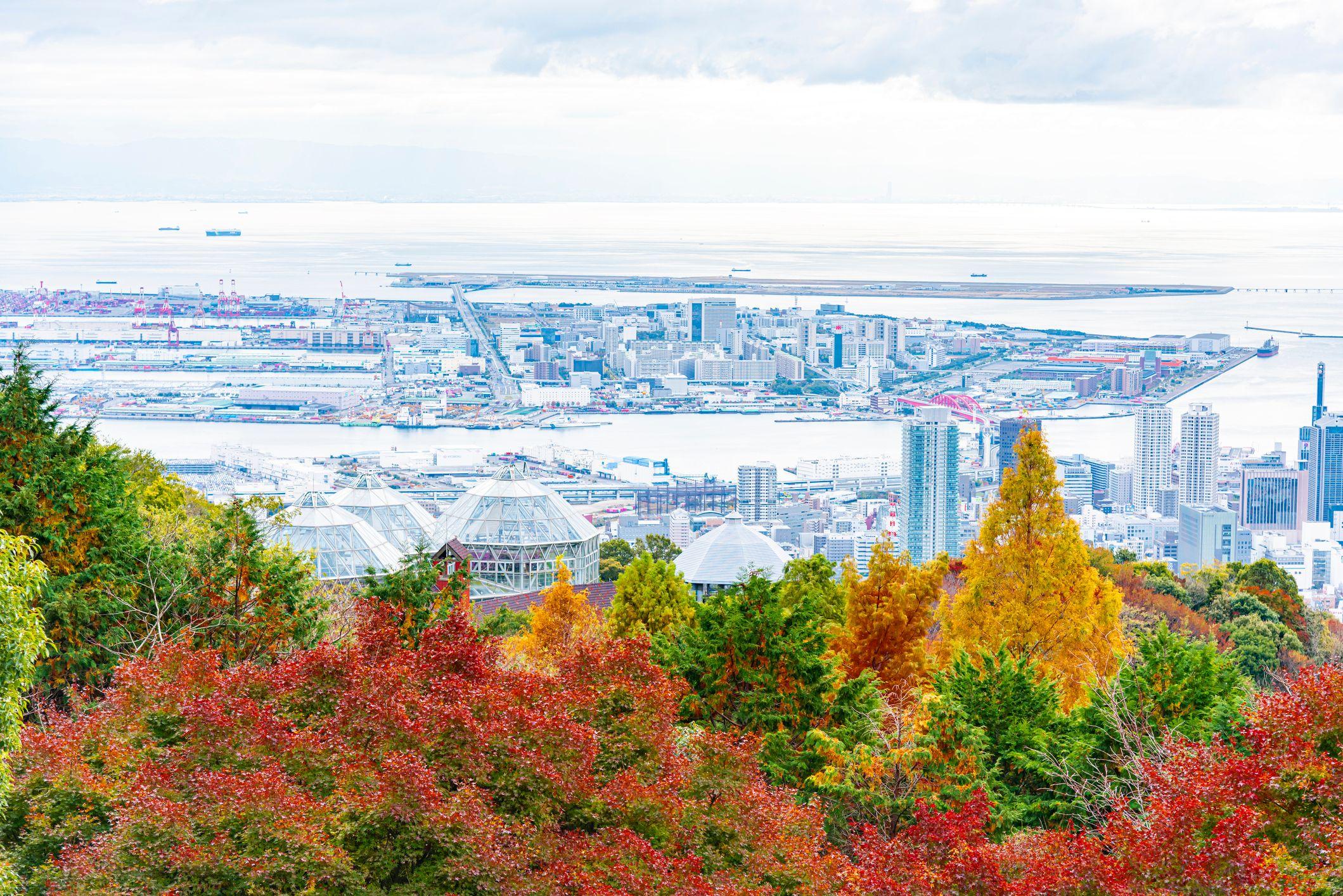 Vista de Kobe desde el bosque cercano.