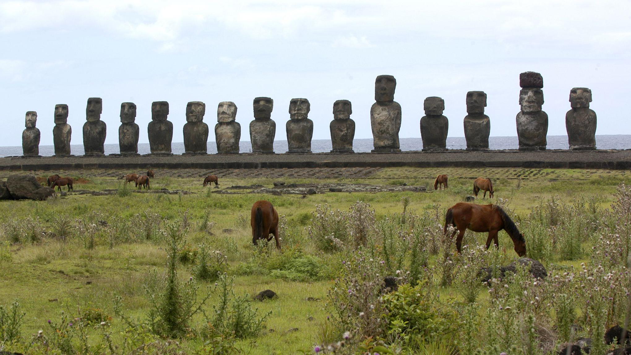 Moái
