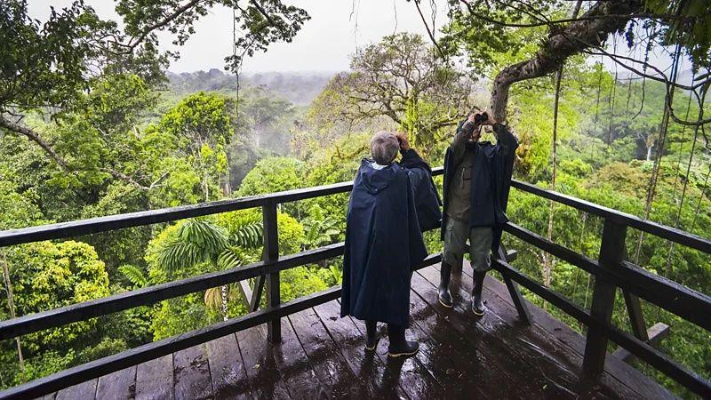 Duas pessoas com binóculos em uma área verde