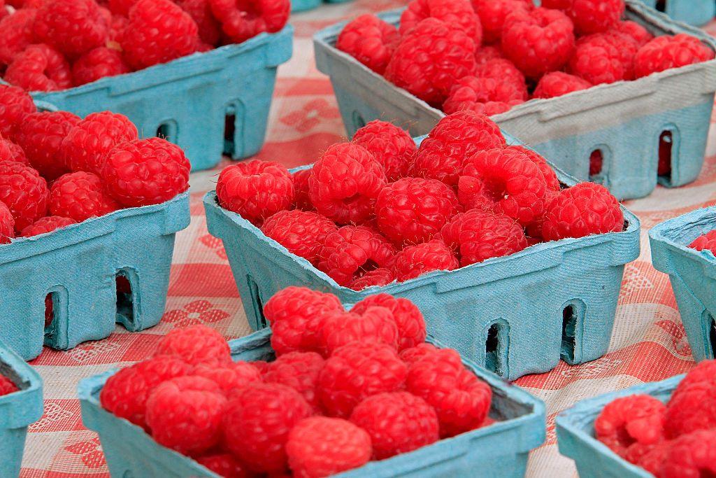 Cestas de cartón de color celeste contienen puñados de frambuesas de un rojo brillante. 