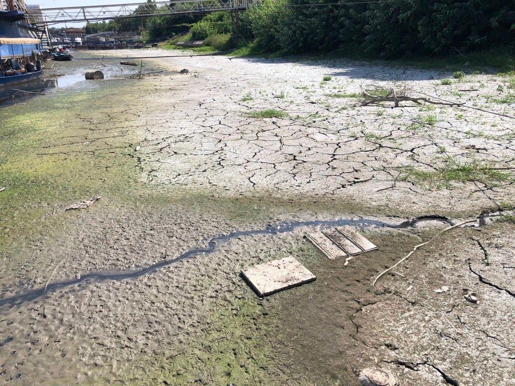 Dunav ponegde kao potok: Dramatične fotografije iz Srbije i regiona 21 dunav, nizak vodostaj dunava, dunav u Beogradu