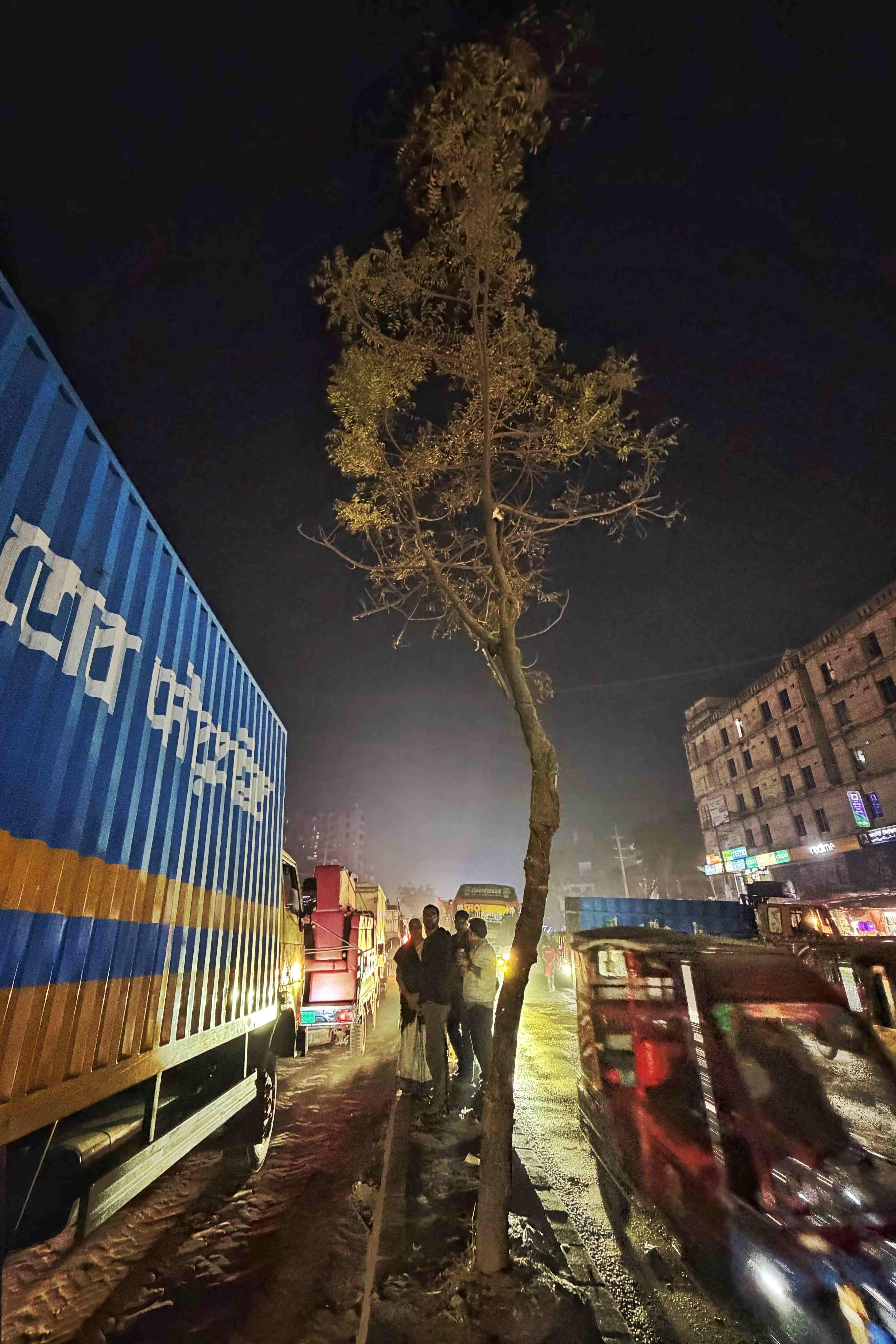 This is the tree, on the main road at Square Masterbari, Bhaluka, Mymensingh, from which the corpse of Dipu Chandra Das was hung and then set on fire. Photo: Shahidul Alam/Drik/Majority World