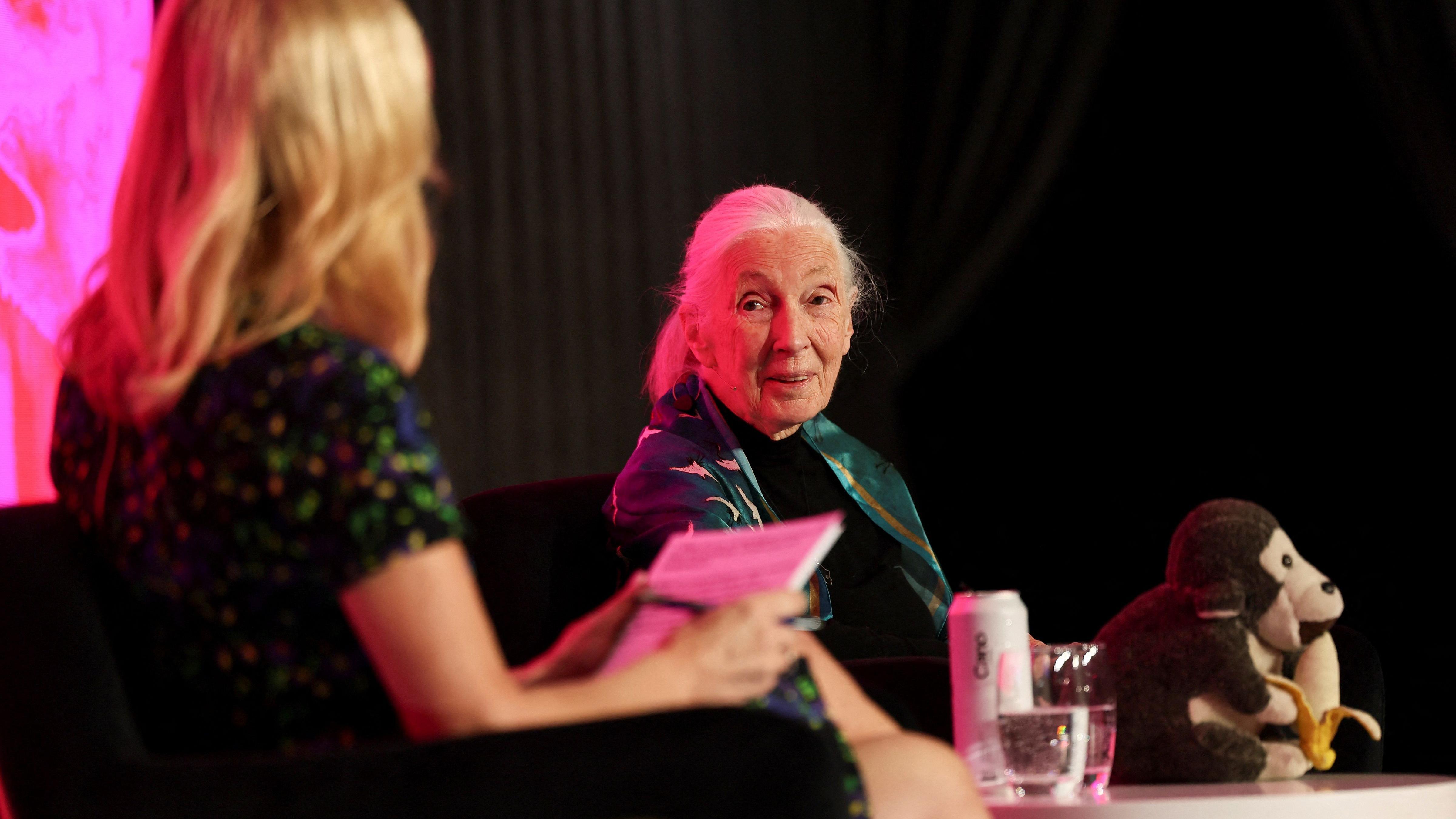 Jane Goodall e o Sr. H, durante evento em Londres em 2025