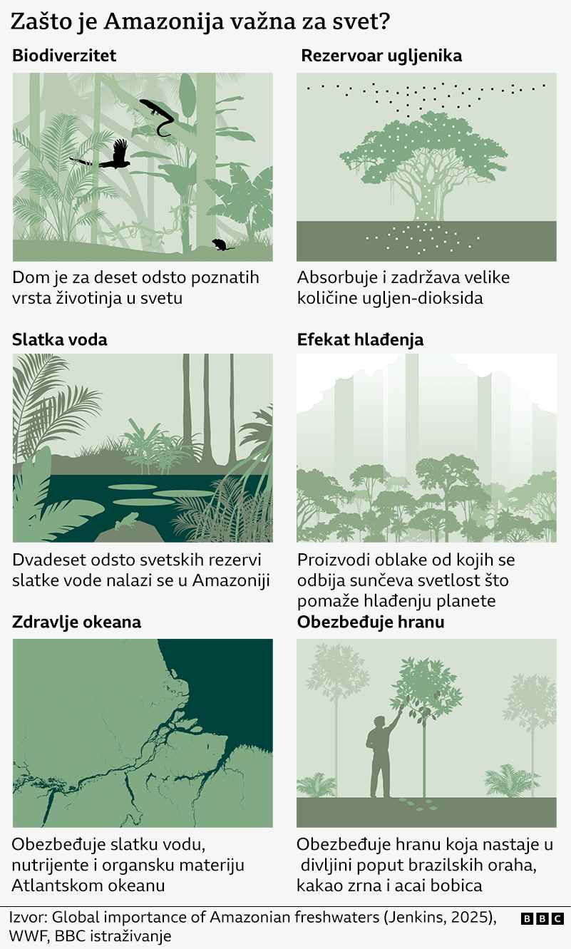 grafički prikaz važnosti Amazonije