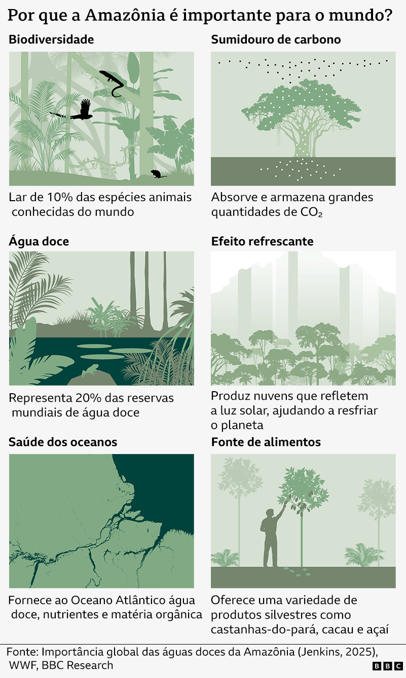 Infográfico resume as razões pelas quais a Amazônia é importante para o mundo
