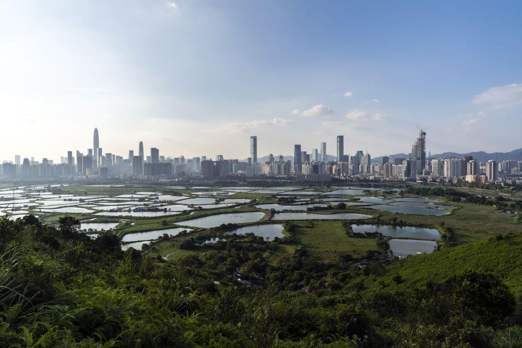落馬洲地區農田遠處的深圳建築群。