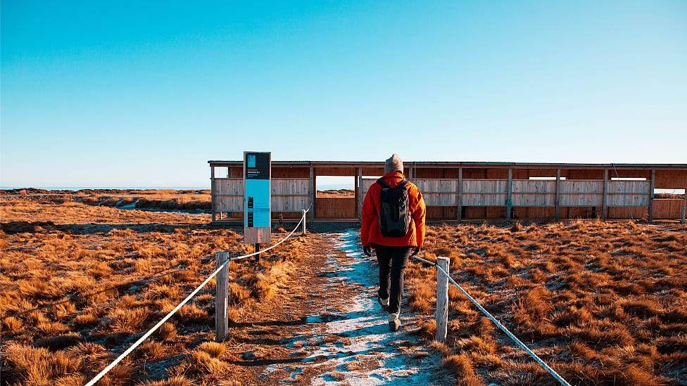 Una visitante de espaldas camina hacia el sitio en la reserva donde puede observarse la colonia de pingüinos a una distancia segura