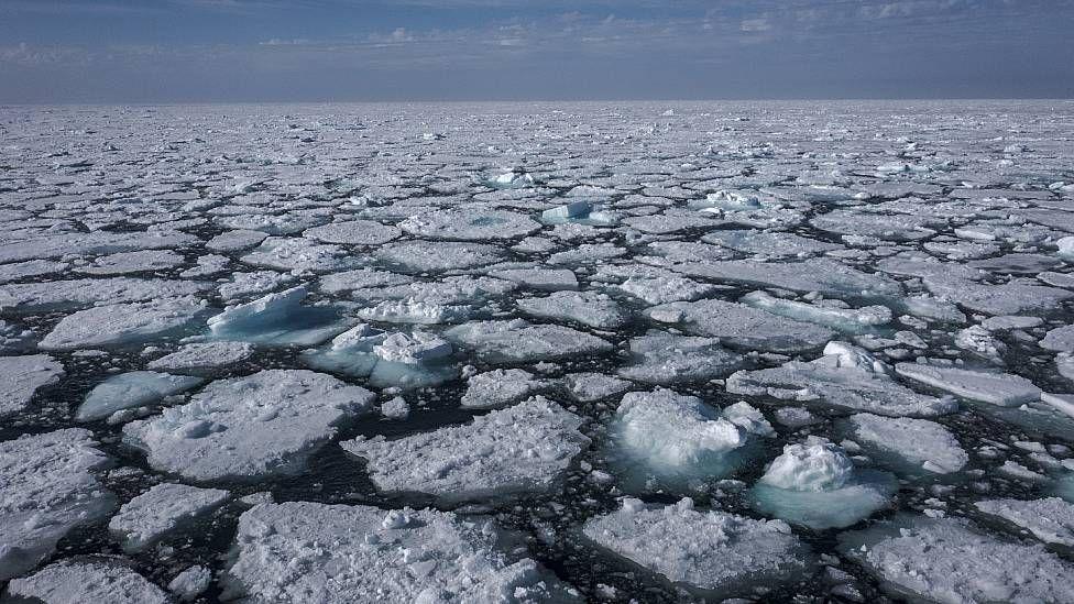 Trozos de hielo flotando en el océano en Svalbard, en el Ártico