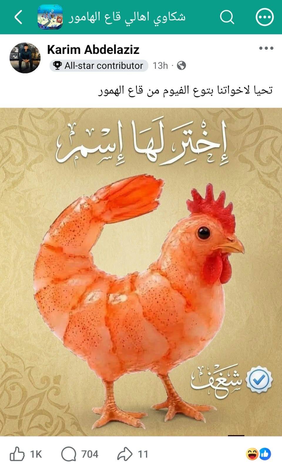 منشور من مجموعة "شكاوي أهالي قاع الهامور" على فيسبوك