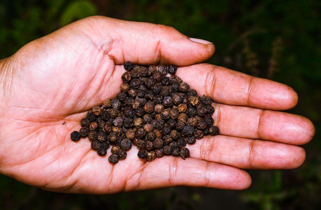 একজনের হাতের তালুতে অনেকগুলো গোল মরিচ