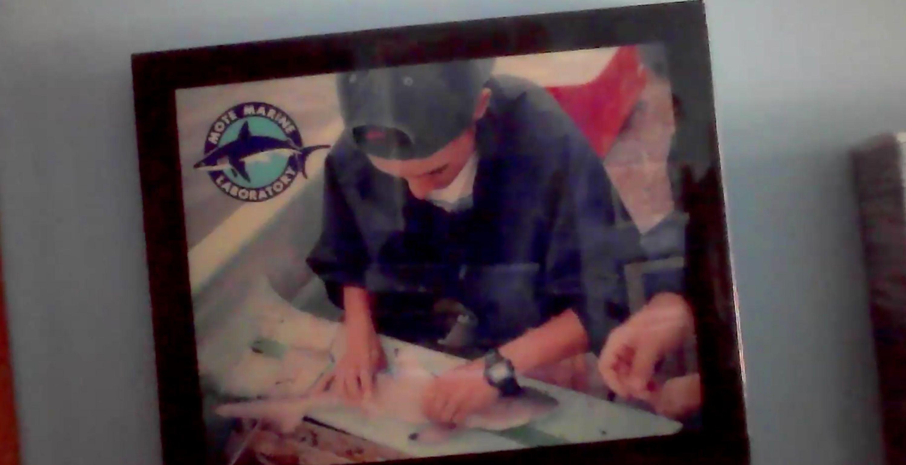 Una foto de Hoyos, de 18 años, con un tiburón en las manos.