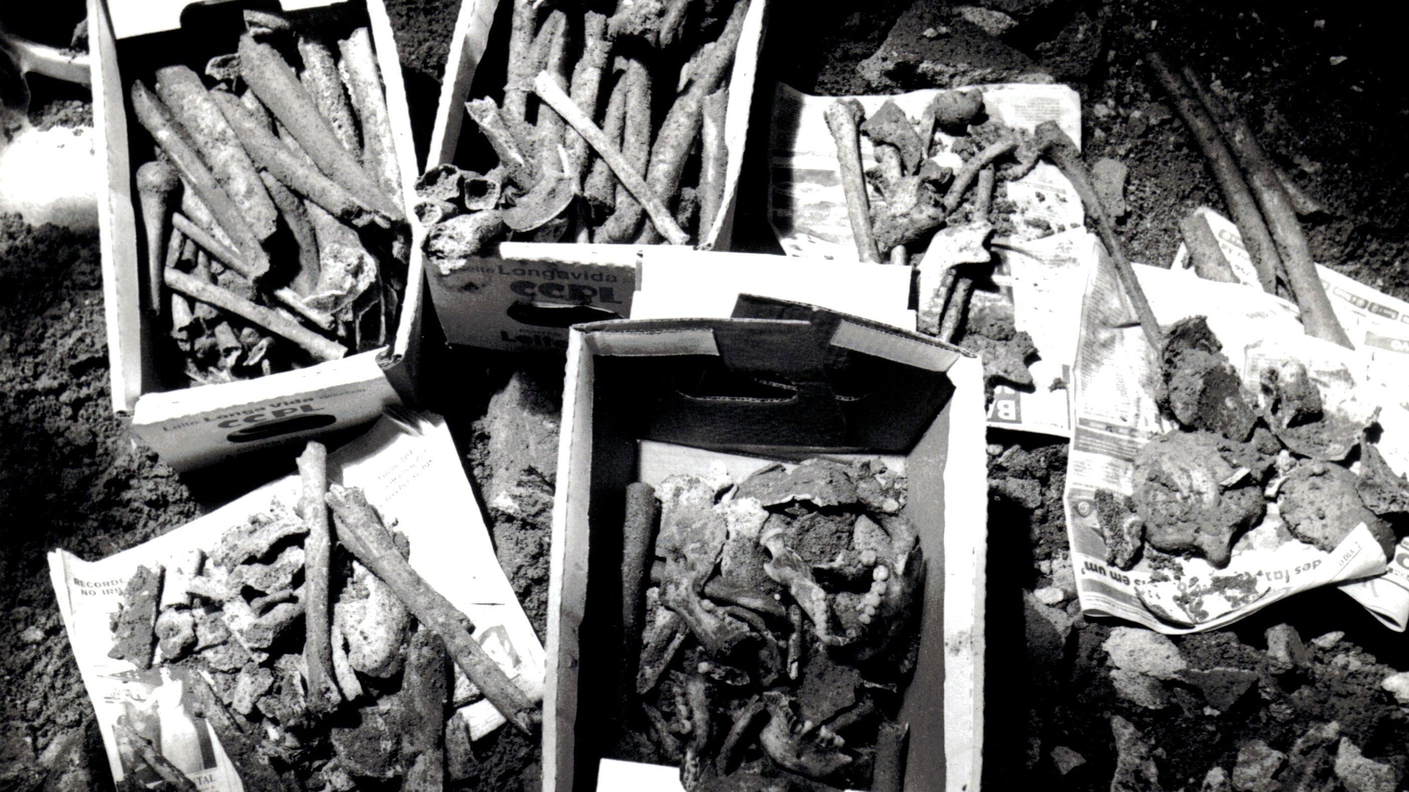 Una fotografía en blanco y negro muestra una caja que contiene huesos.