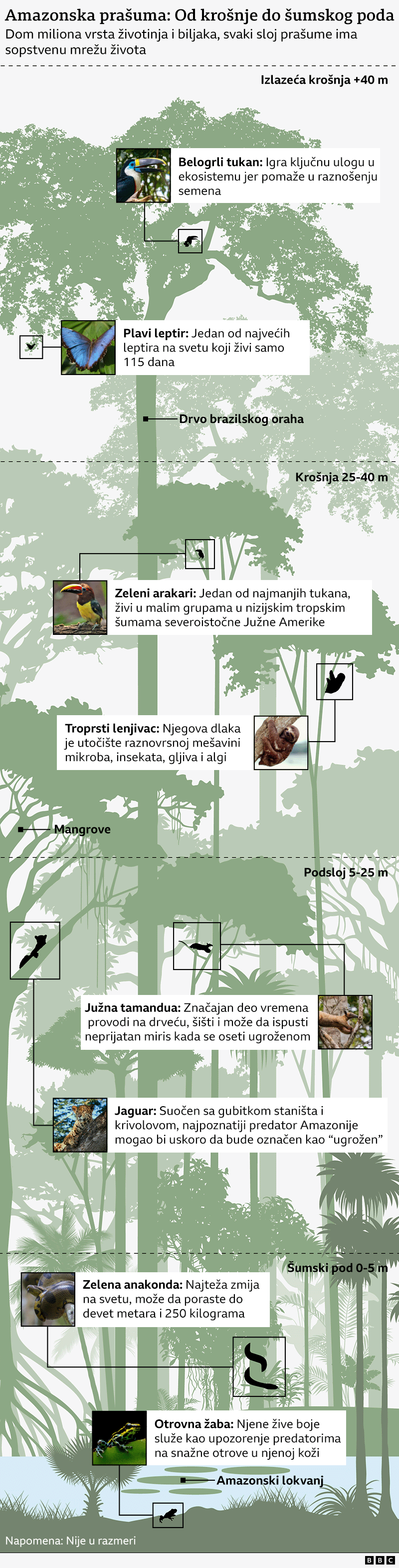 grafički prikaz biodiverziteta