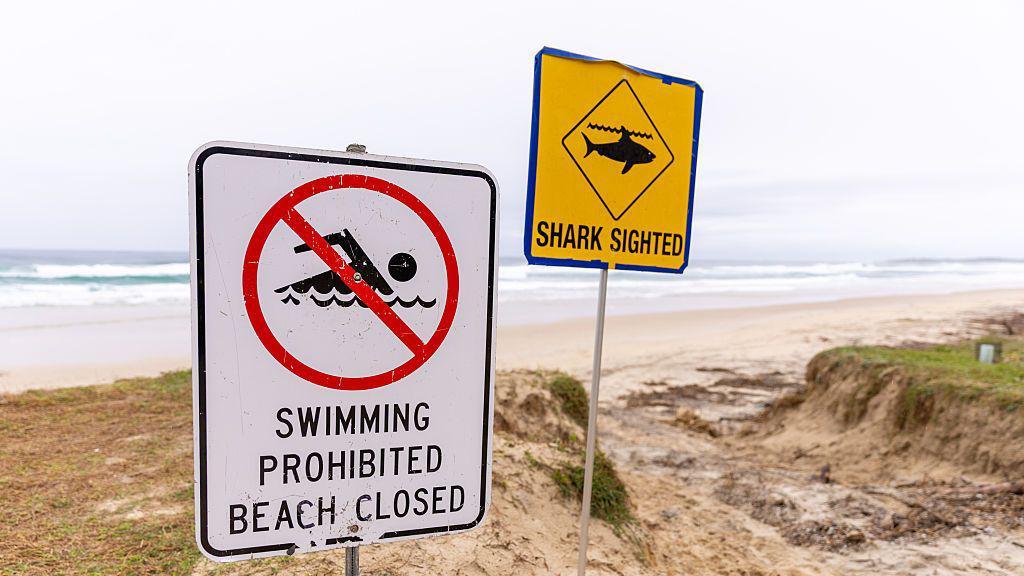 Un letrero que dice que la playa está cerrada y otro que avisa sobre el avistamiento de un tiburón. Ambos están en la arena de una playa de Australia. 