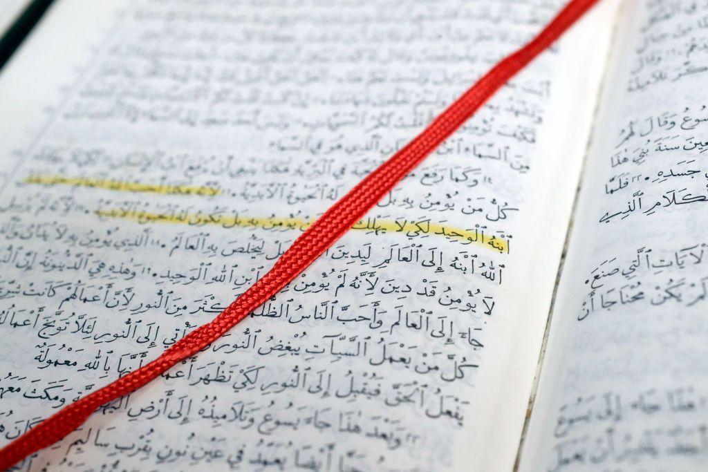 الكتاب المقدس باللغة العربية، نسخة في ستراسبورغ، فرنسا