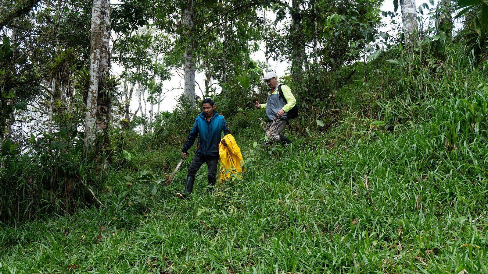 Sosteniendo machetes para cortar la vegetación, Yépez y Panimboza Deleg descienden por la ladera inclinada de un gran montículo que probablemente se utilizaba con fines ceremoniales.