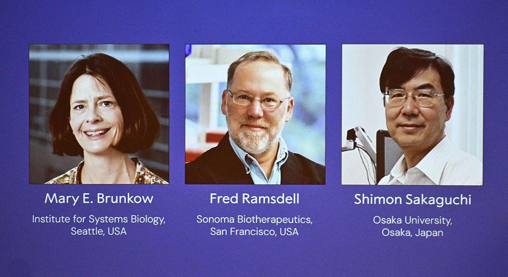 Pantalla con las tres fotos de cada uno de los galardonados del Premio Nobel de Medicina 2025, Mary E. Brunkow, Fred Ramsdell y Shimon Sakaguchi, en la rueda de prensa donde se anunció el premio.