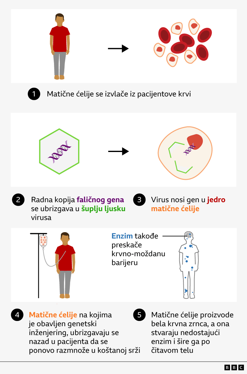 grafika sa opisom postupka genske terapije
