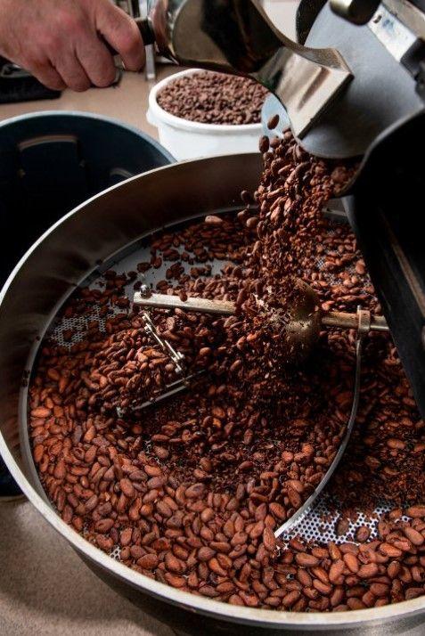 حبوب كاكاو تحمص في ماكينة، ويد لونها حنطي تمسك بأداة التحميص. الحبوب لونها بني والماكينة تبدو من معدن الألمنيوم.