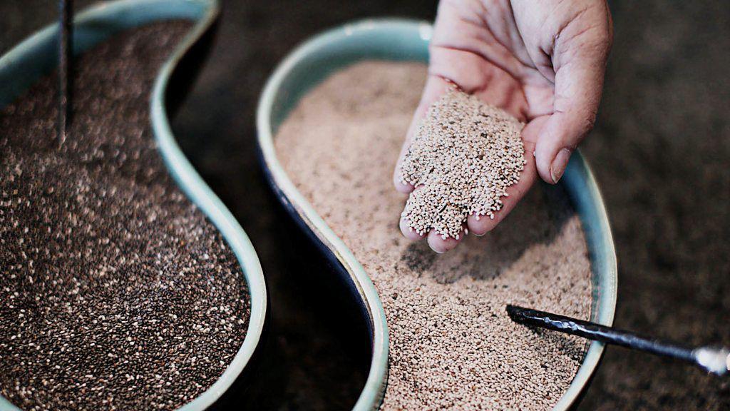 Mão mostra sementes de chia retiradas de recipientes plásticos para a câmera