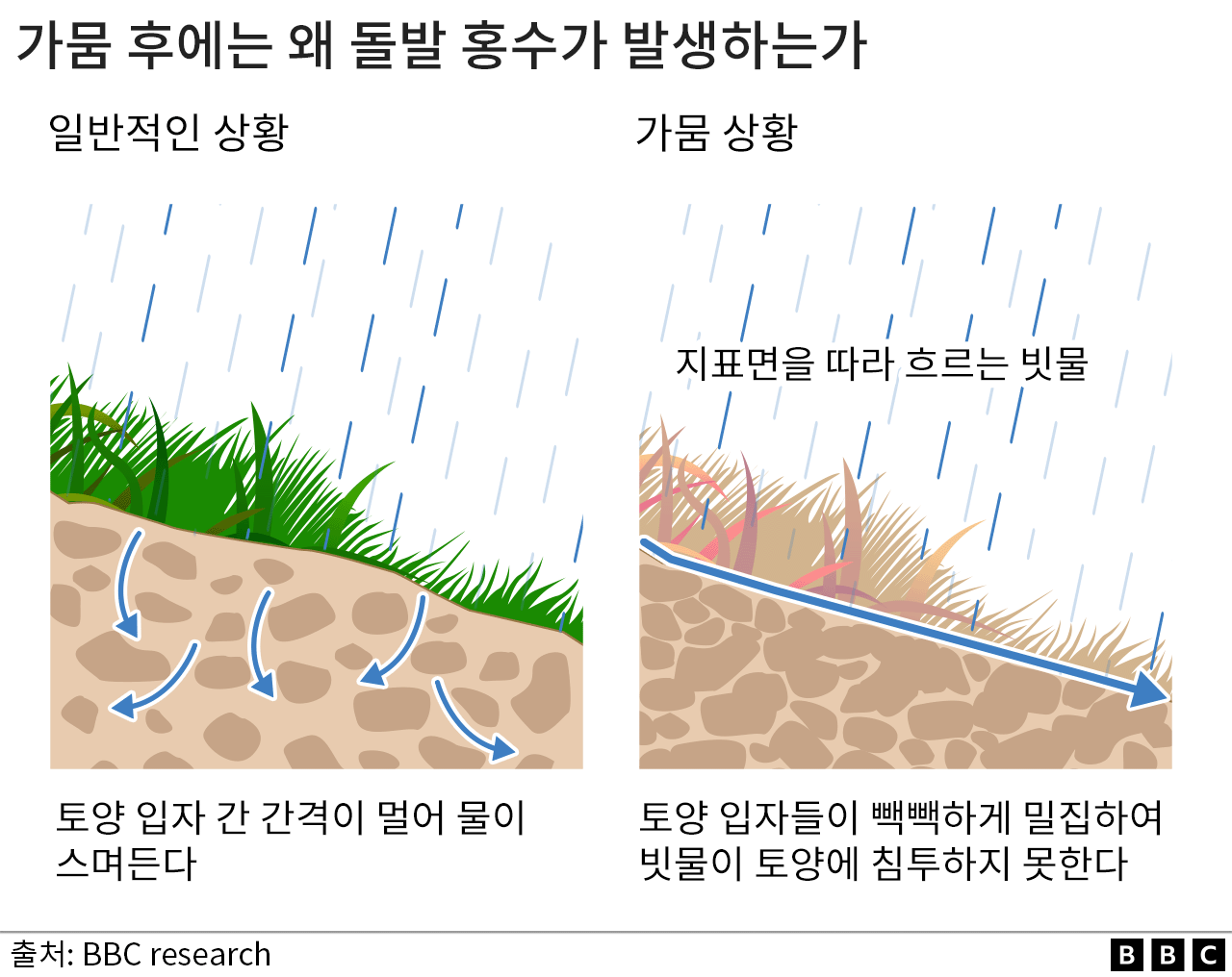 가뭄 후에는 왜 돌발 홍수가 발생하는지 설명하는 그래픽. 가뭄 시 토양 입자들이 빽빽하게 밀집하여 빗물이 토양에 침투하지 못한다