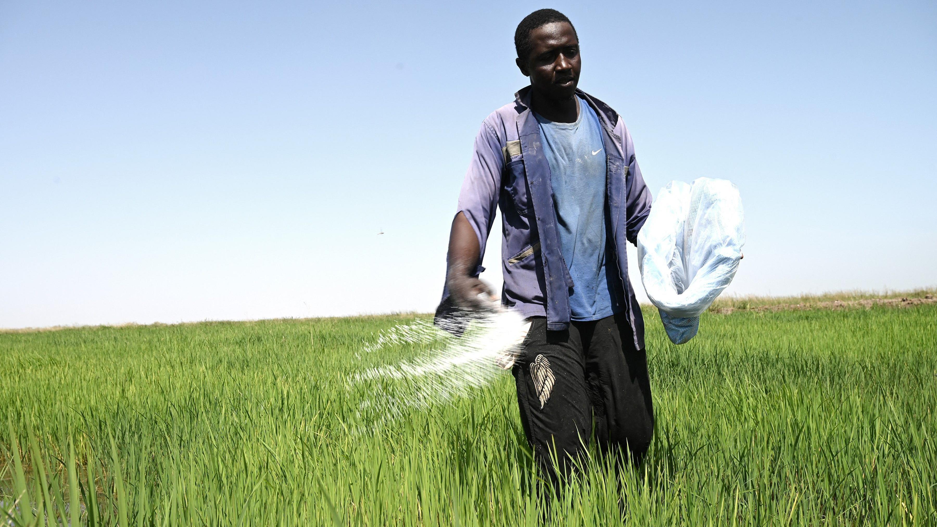Um homem aplicando fertilizante em um campo
