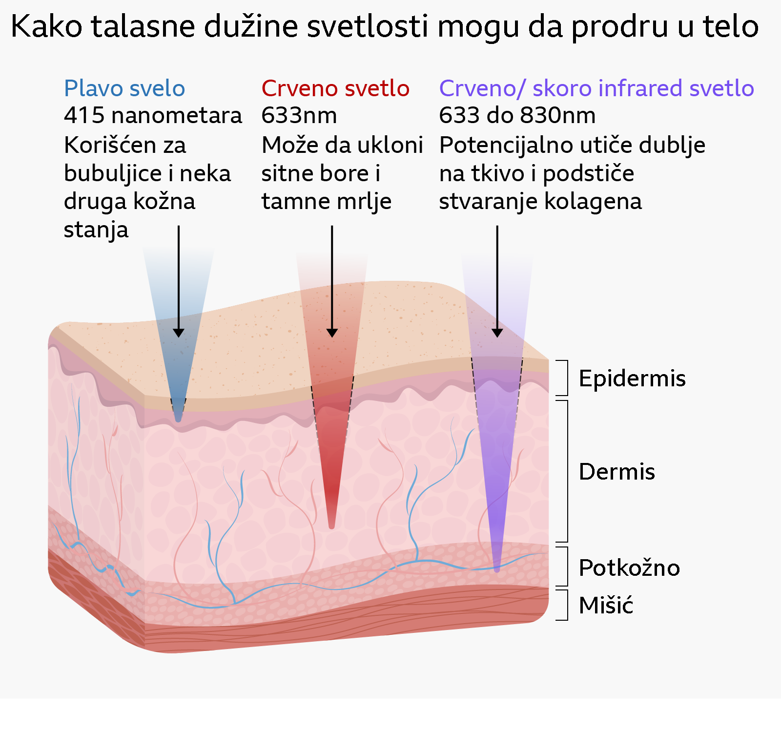 Ilustrovana grafika koja prikazuje kako različite talasne dužine svetlosti prodiru u kožu. Plava svetlost na 415 nanometara dopire do površinskih slojeva kože poznatih kao epidermis i označena je kao sredstvo za lečenje akni i nekih drugih kožnih oboljenja. Crvena svetlost na 633 nanometara prodire dublje u telo, u područje poznato kao dermis, i označena je kao sredstvo koje potencijalno smanjuje fine linije i tamne mrlje. Crvena i bliska infracrvena svetlost između 633 i 830 nanometara dopire do potkožnog sloja tela i označena je kao sredstvo koje potencijalno deluje na dublje tkivo i podstiče kolagen.