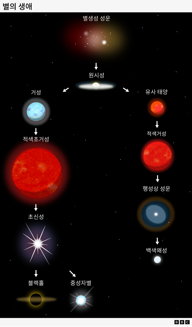 별의 일생을 나타난 그래프: 별생성 성운이 원시별이 되며, 이 원시별은 이후 크게 2가지 경로로 나뉜다. 만약 거성이 되면 적색초거성, 초신성 단계를 거쳐 이후 블랙홀이 되거나 중성자별이 된다. 만약 유사 태양이 되면 적색거성, 행성상 성운을 거쳐 백색왜성이 된다