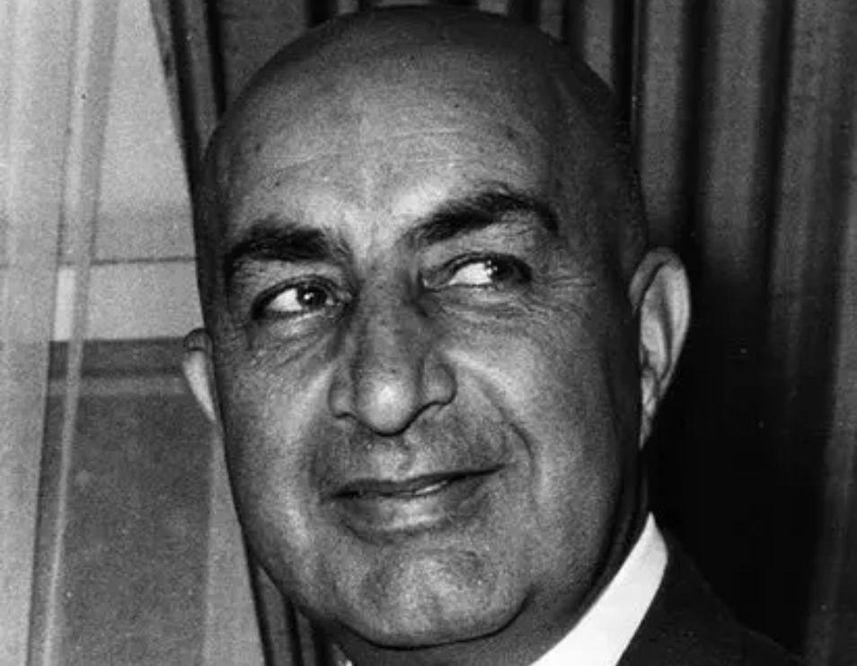 داؤد خان چاہتے تھے کہ وہ شاہی وزیرِ اعظم کے عہدے سے استعفیٰ دینے کے بعد عوامی حمایت سے واپس آئیں