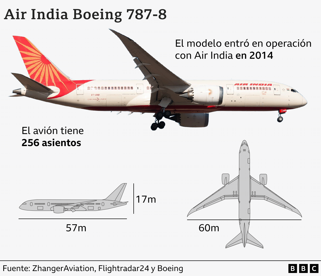 Un gráfico detalla el modelo del avión Air India 787-8, señalando que entró en operación en 2014, que tenía 256 asientos y que medía 57 metros de largo, 17 metro de alto y 60 metros entre la punta de cada una de sus alas. 