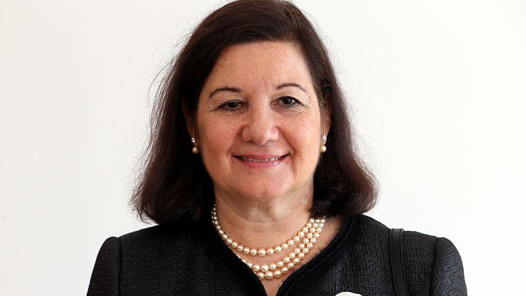 imagen Maria Luiza Ribeiro Viotti