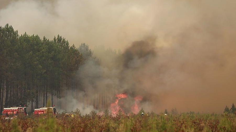Wildfire has 'life of its own', says French minister, with blaze nine miles from Bordeaux outskirts
