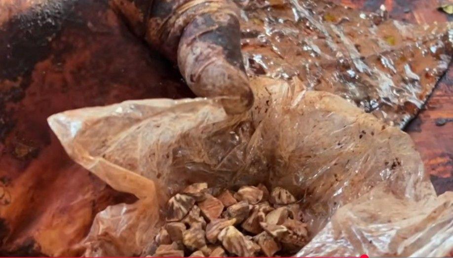 منھ کا کینسر