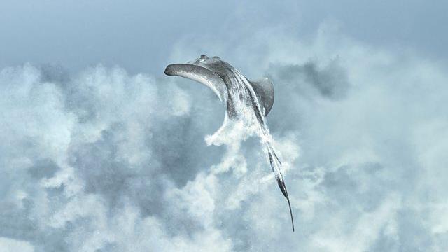 Arraias revolvem o fundo do mar agitando a areia do leito do oceano