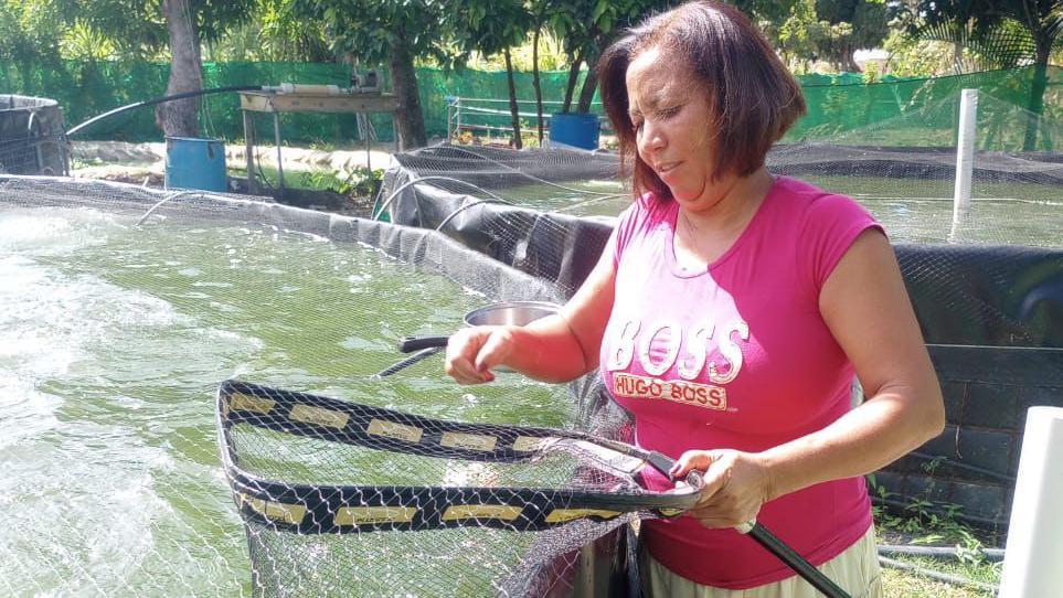 Dioris Rijo criando peces en una piscina en su campo.