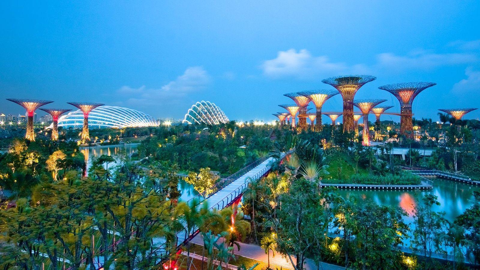 Los jardines de la bahía de Singapur, con el cielo crepuscular reflejado en el agua, árboles verdes y grandes estructuras modernas iluninadas, inspiradas en flores abiertas y un puente peatonal que conecta los jardines