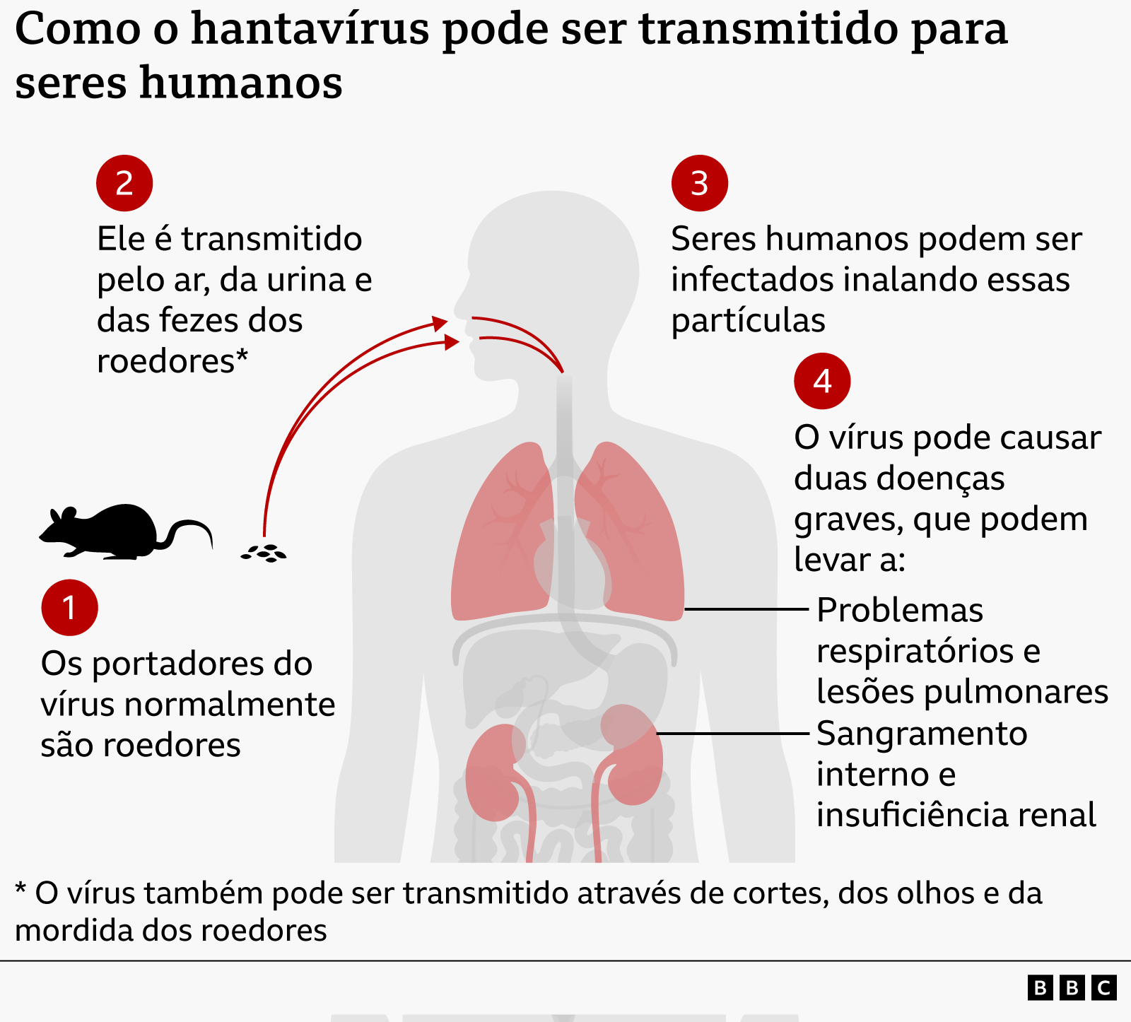 Gr&aacute;fico mostrando a forma de contamina&ccedil;&atilde;o de seres humanos com o hantav&iacute;rus